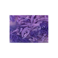 Lavender Clouds with Essential Oil