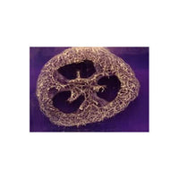 Lavender Loofah Slice