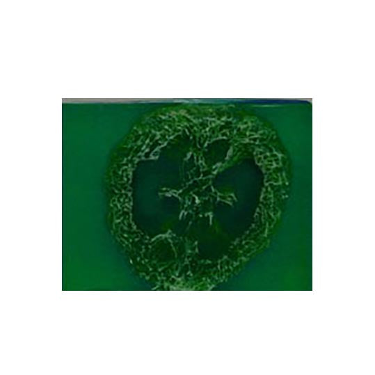 Purely Herbal Loofah Slice